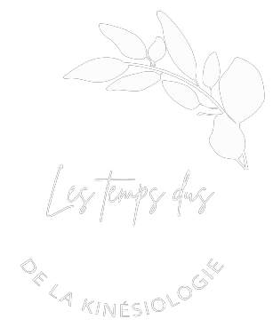 FB_IMG_1680632399758